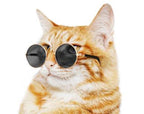 Kitty Hippie Sunglasses Halloween  Cat Costume