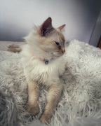 CatNap™ Anti-Scratch & Waterproof Throw Blanket - Grey