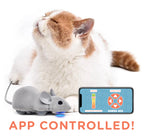 Mouse Hunt Cat Toy, App Controlled
