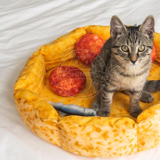 Cute Pizza Cat Bed