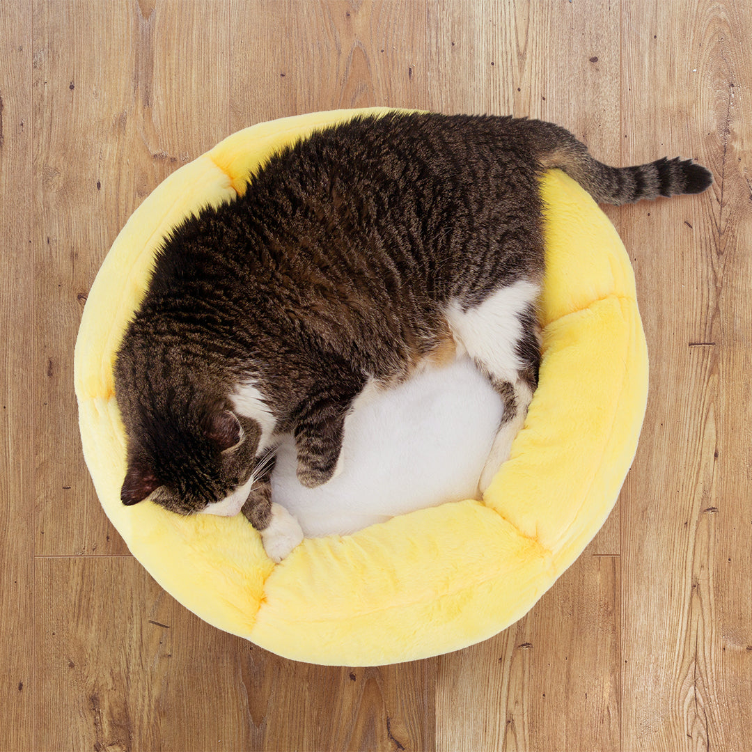Summer Sun Cat Bed