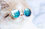 Kitty Hippie Sunglasses Halloween  Cat Costume